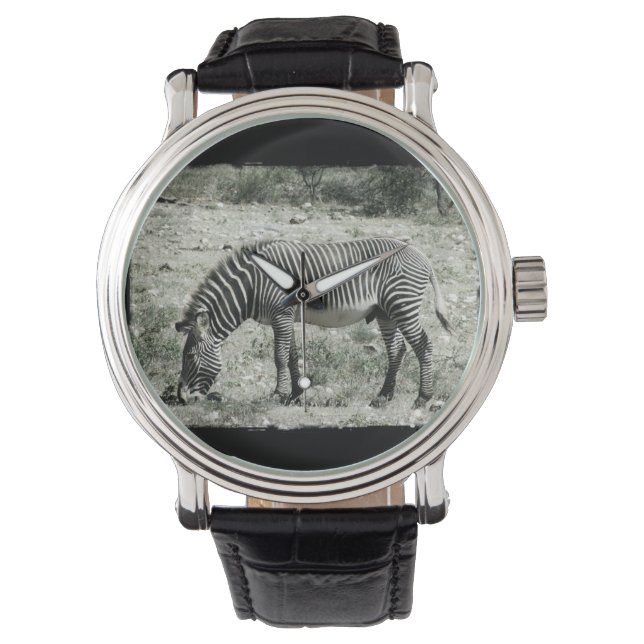 Montre Manger Zèbre (devant)