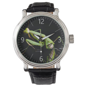 Montre Mante priante