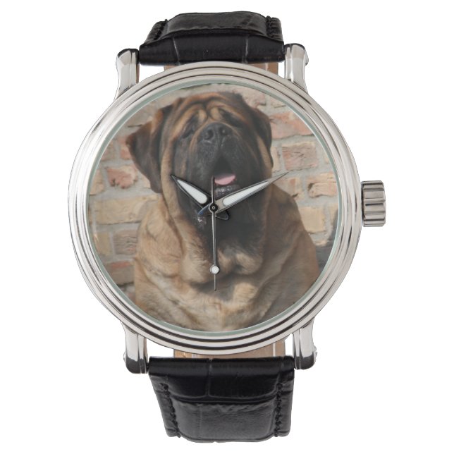Montre Mastiff anglais (devant)
