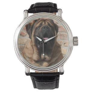 Montre Mastiff dogue anglais fête des pères