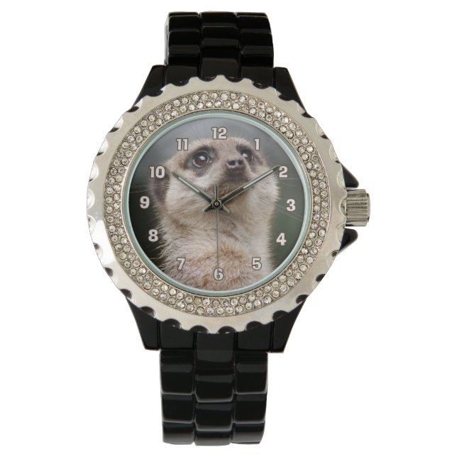 Montre Meerkat (devant)