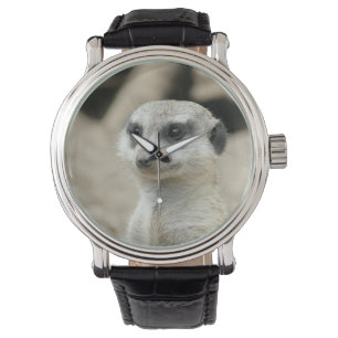 Montre Meerkat