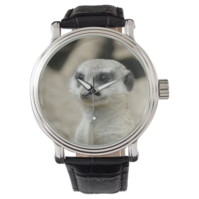 Montre Meerkat (devant)