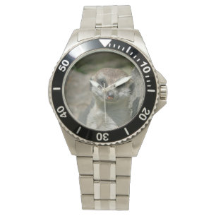 Montre Meerkat 005