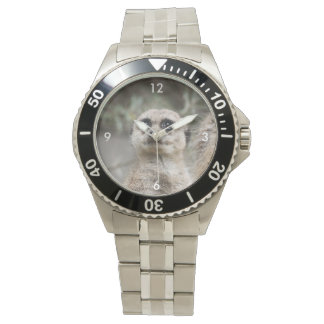 Montre Meerkat_021
