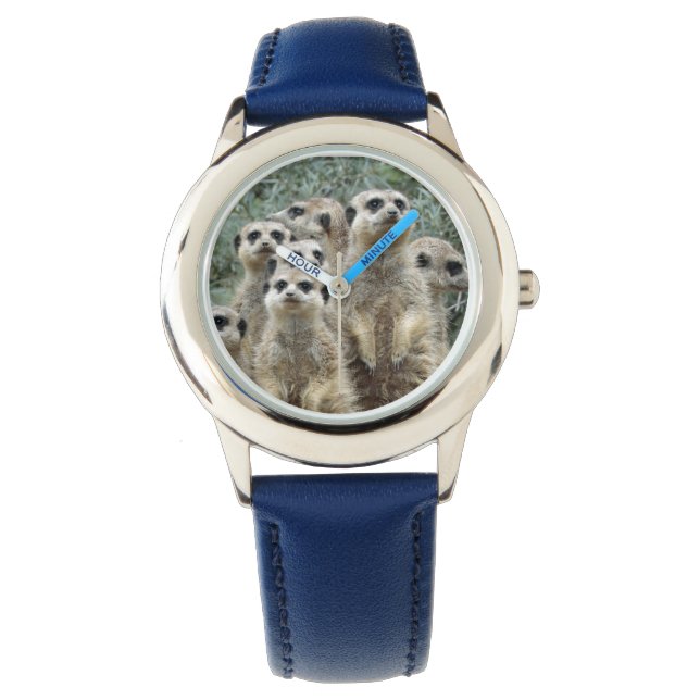 Montre Meerkat-Group 001 (devant)