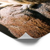 Montre Meerkat - Poster (Coin)