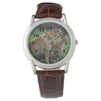 Montre Mens Classic Watch/Wildlife Cheetah's