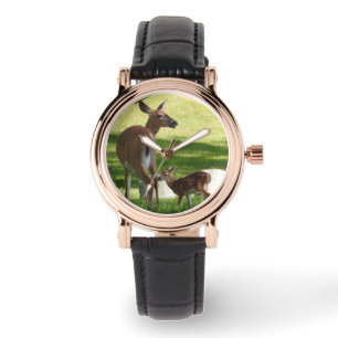 Montre Mère et bébé cerf