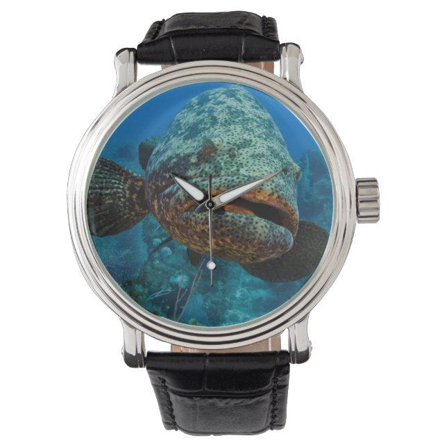 Montre Mérou géant de l'Atlantique (devant)