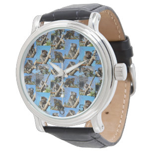 Montre "Merveilles de koala : un montage photo chaleureux