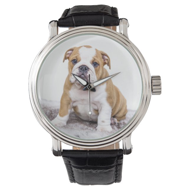 Montre Mignonne chiot Bulldog assis (devant)