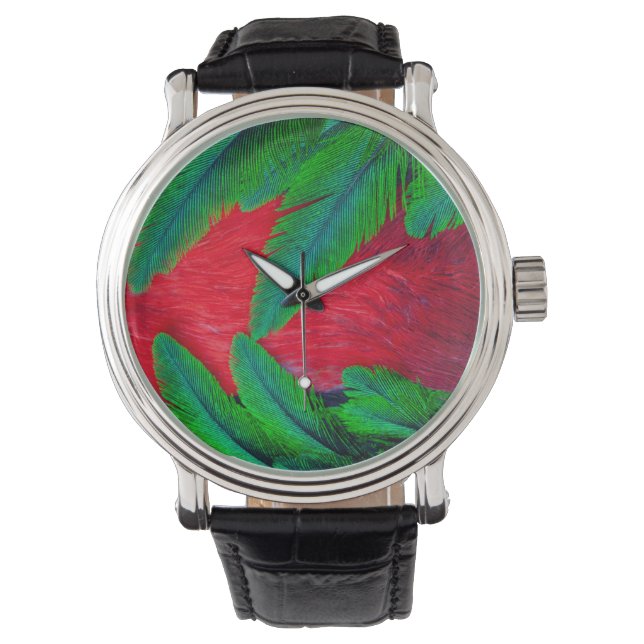 Montre Modèle de plume Quetzal resplendant (devant)