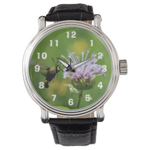 Montre Mois des colibris