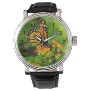Montre Monarque sur le Lantana