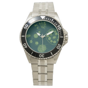 Montre Morum de Pandorina d'algues vertes
