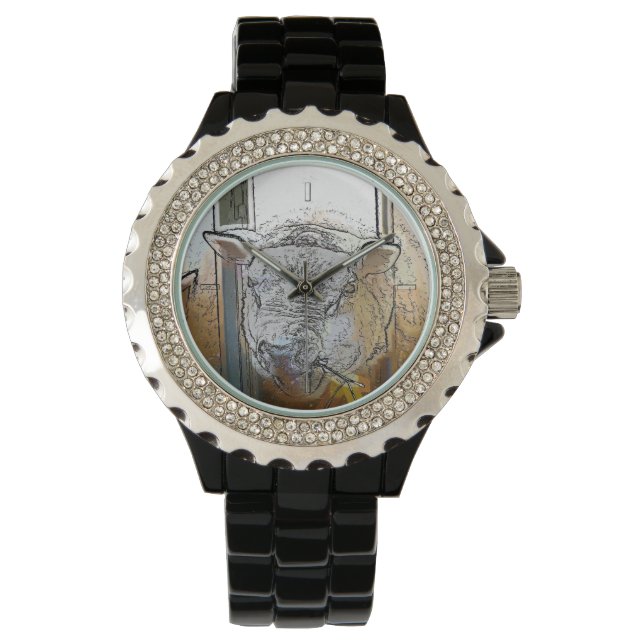 MONTRE MOUTON (devant)