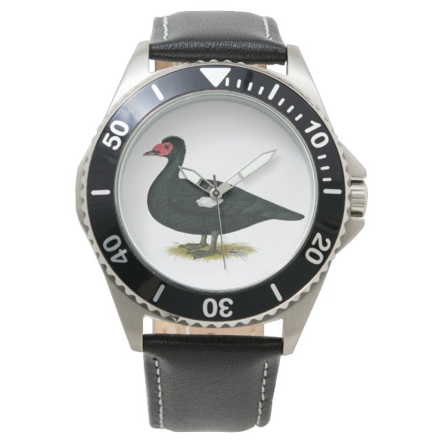 Montre Muscovy Black Drake (devant)