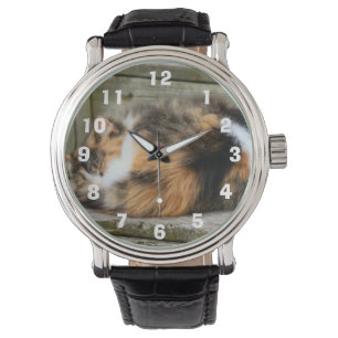 Montre Naptime