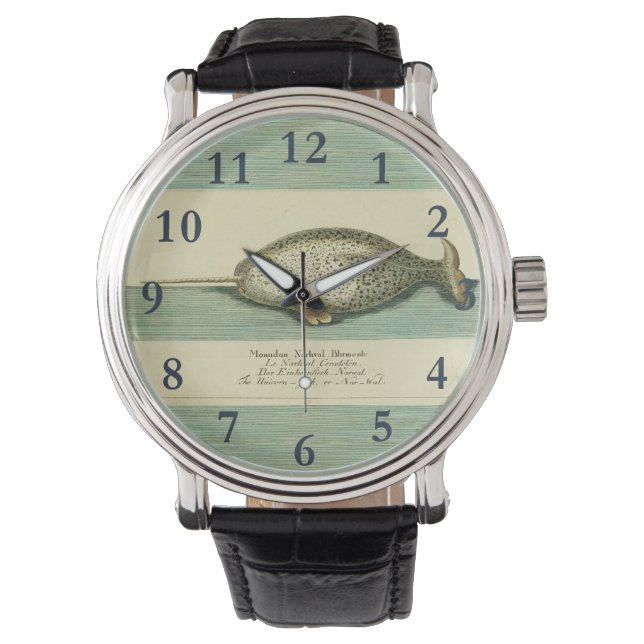 Montre Narwhal Antique Baleine Aquarelle Art scientifique (devant)