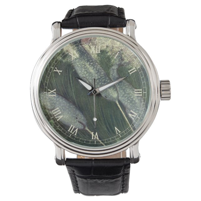 Montre Narwhals vintages, Vie Marine Baleines Animaux mar (devant)