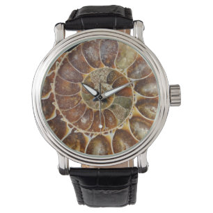 Montre nature animale d'escargot de noir fossile