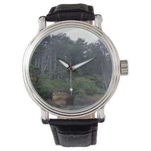 Montre Neptune State Park, OU