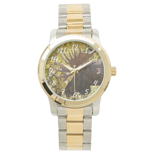 Montre Noble taureau (devant)