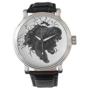 Montre noire de Terre-Neuve