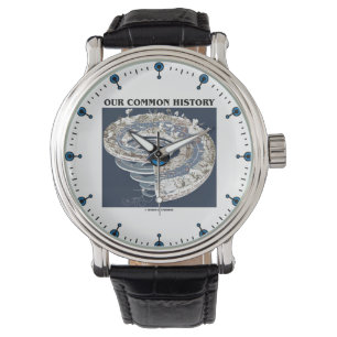 Montre Notre histoire commune Chronologie géologique de l