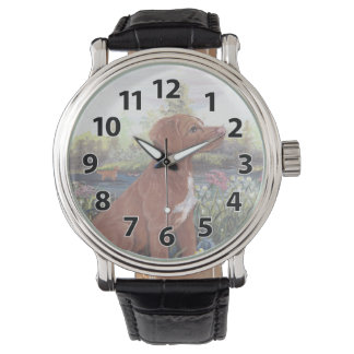 Montre Nouvelle-Écosse Wristwatch Retriever Duck Tolling