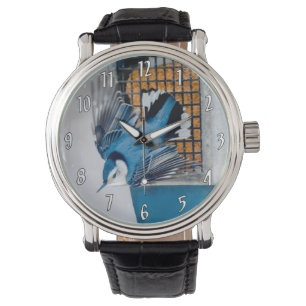 Montre Nuthatch à poitrine blanche en neige