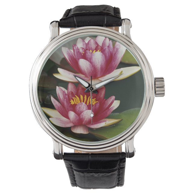 Montre Nymphéas hybrides (devant)