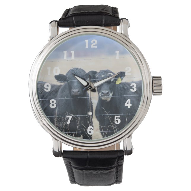 Montre Observateurs de Bovine (devant)