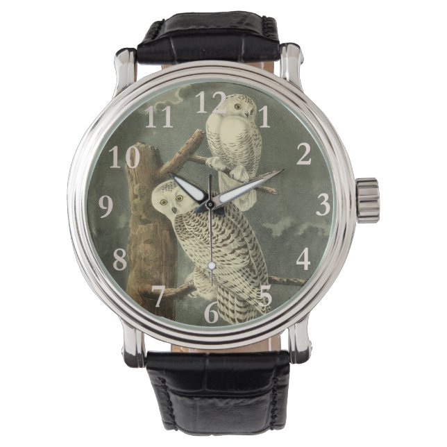 Montre OEuvre d'OEuf Audubon (devant)