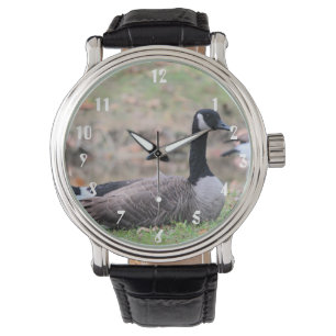 Montre Oie