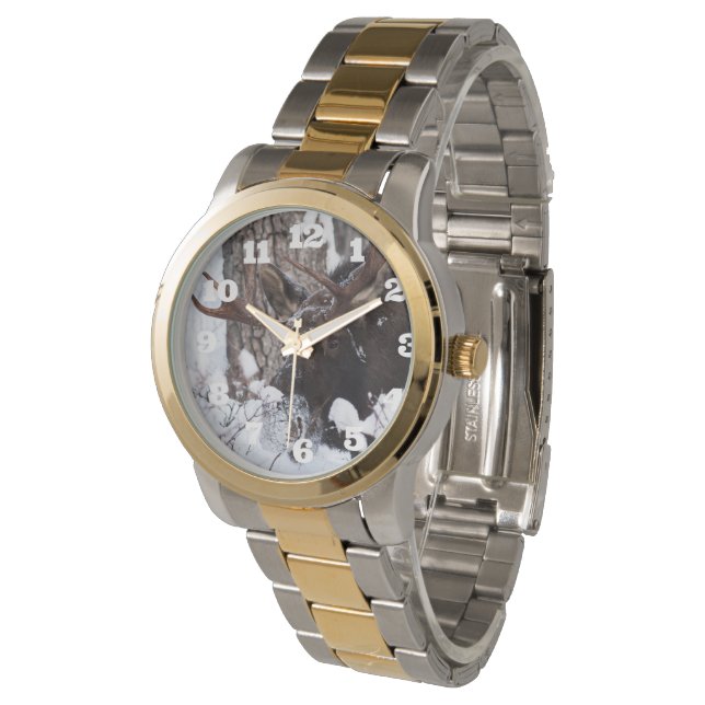 Montre Oie chilienne (Incliné)