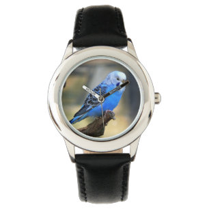 Montre Oiseau de perruche