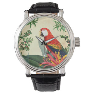 MONTRE OISEAU TROPICALE DE PARROT 8