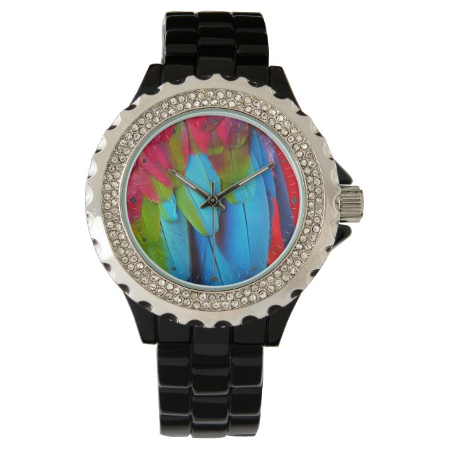 Montre Options de surveillance et de numérisation Plumage (devant)