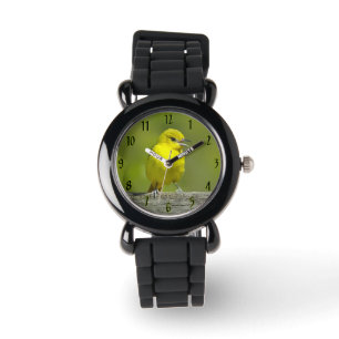 Montre Orchard Oriole - Photo originale