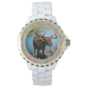Montre Orignaux