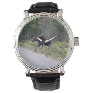 Montre Orignaux
