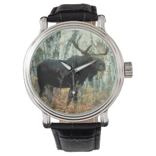 Montre Orignaux énormes