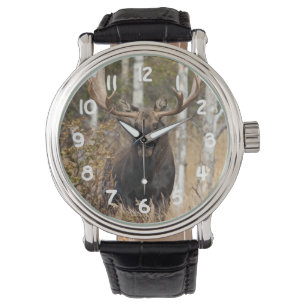 Montre Orignaux impressionnants de Taureau