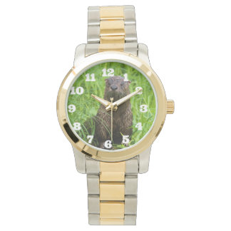 Montre Otter