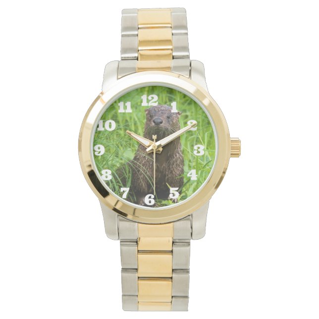 Montre Otter (devant)