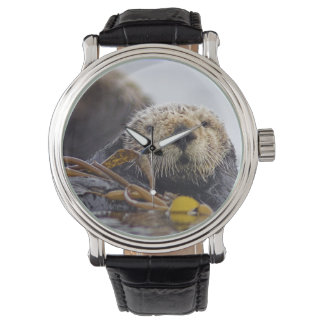 Montre Otter Surprise