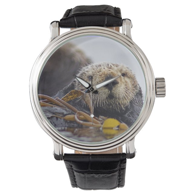 Montre Otter Surprise (devant)