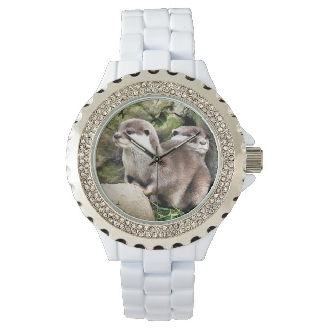 MONTRE OTTERS (devant)